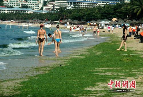 Beachgoers walk on a &apos;green carpet&apos; of algae on a Sanya beach, Hainan Province, June 8, 2010. Layers of green algae recently appeared along scenic Dadonghai beach. [Yin Haiming/Chinanews.com] 