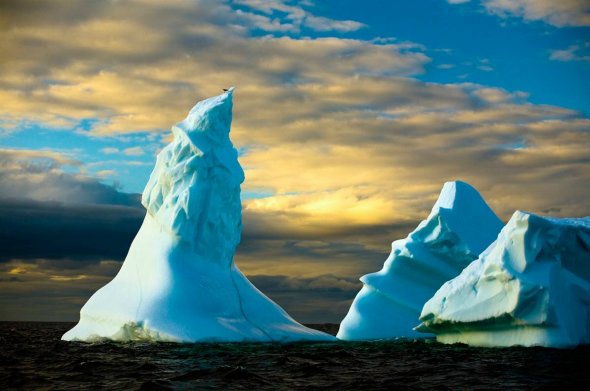 Icebergs at Notre Dame Bay Near Fogo Island. [sina.com.cn]