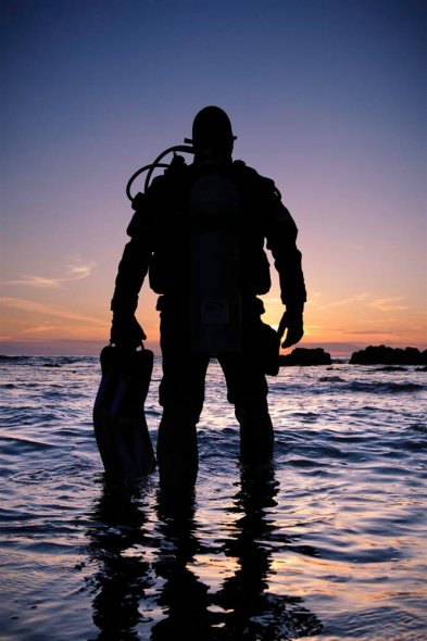 Diver at Sunset. [sina.com.cn]