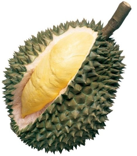 Durian [qq.com]