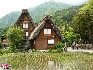 One might see the old Japan in these nostalgic villages in the mountains, famous for their Gassho-zukuri houses (literally means praying hands, since the roof lines of the steep thatched houses look like two hands clasped together in prayer). Here, each season reveals startlingly beautiful scenery. The area has been designated as a UNESCO World Heritage site. [Photo by Wang Mengru]  