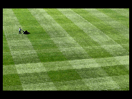 A worker mows the grass at the Ellis Park Stadium in Johannesburg June 8, 2010. The 2010 FIFA World Cup kicks off on June 11. [gb.cri.cn]