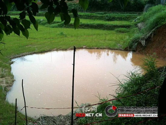 A sinkhole holds rainwater in a field in Dachengqiao village of Nengxiang county, Central China&apos;s Hunan province, June 8, 2010. [rednet.cn]