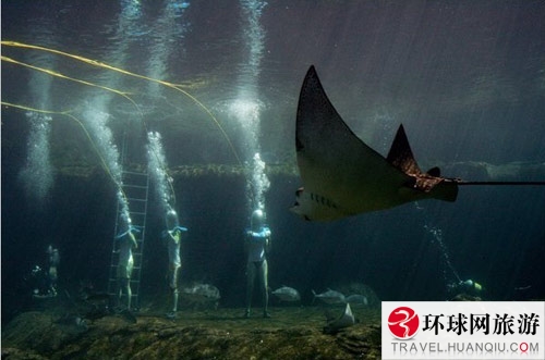 The Ushaka Marine World in Durban. [Photo: huanqiu.com]