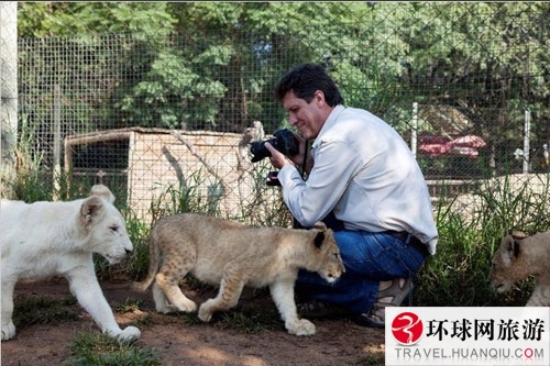 Lion Park in Johannesburg. [Photo: huanqiu.com]