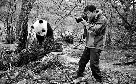 Zhou Mengqi, a panda lover, takes photos of a giant panda. [China Daily] 