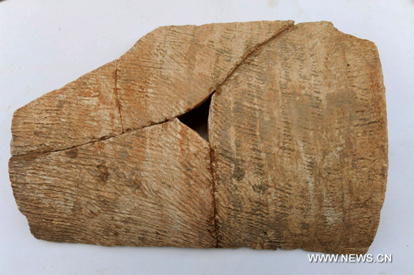 Photo taken on June 8, 2010 shows the plate tile made in ancient China&apos;s Han Dynasty (206 BC-220 AD) and excavated at Caoxie Village in Lianzhou Town of Hepu County, southwest China&apos;s Guangxi Zhuang Autonomous Region. [Xinhua]