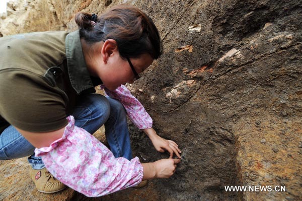 An archeologist works at the relics of a city built in ancient China&apos;s Han Dynasty (206 BC-220 AD), at Caoxie Village in Lianzhou Town of Hepu County, southwest China&apos;s Guangxi Zhuang Autonomous Region, June 8, 2010. [Xinhua]