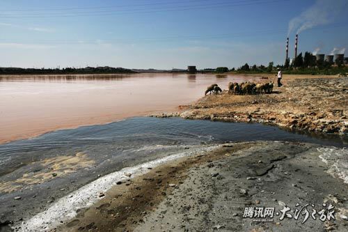The severe pollution in the Yellow River 