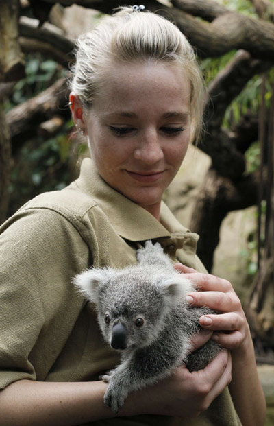 Zookeeper Janet Scheiblich holds a koala joey following a weighing procedure at the zoo in the western German city of Duisburg June 11, 2010. The 215 day-old koala baby, weighing 528 grams, has yet to be named. [Xinhua/Reuters] 