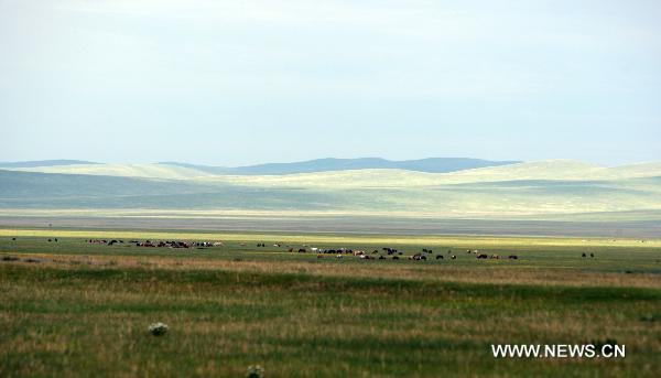  Photo taken on June 14, 2010 shows the summer landscape of Ondorhaan grassland of east Mongolia's Hentiy Province. [Xinhua/A Sigang]