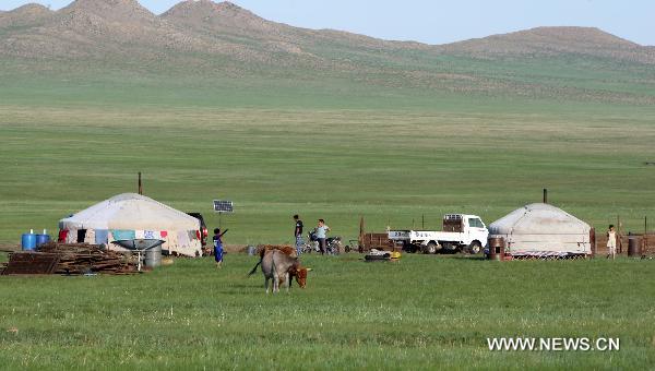 Photo taken on June 14, 2010 shows the summer landscape of Ondorhaan grassland of east Mongolia's Hentiy Province. [Xinhua/A Sigang] 