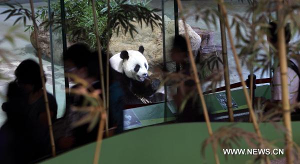 Visitors view giant panda Yuanyuan at the zoo in Taipei, southeast China's Taiwan, June 16, 2010. Many local residents visited giant pandas Tuantuan and Yuanyuan during the Dragon Boat Festival. [Xinhua]