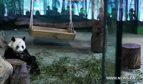 Visitors view giant panda Yuanyuan at the zoo in Taipei, southeast China's Taiwan, June 16, 2010. Many local residents visited giant pandas Tuantuan and Yuanyuan during the Dragon Boat Festival. [Xinhua]