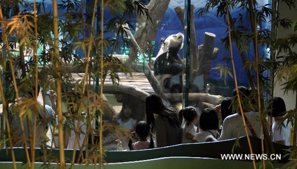 Visitors queue to view giant panda Yuanyuan at the zoo in Taipei, southeast China's Taiwan, June 16, 2010. Many local residents visited giant pandas Tuantuan and Yuanyuan during the Dragon Boat Festival. [Xinhua]