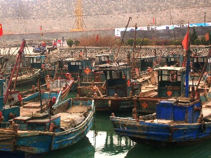 Wooden fishing boats docked in an inlet in Penglai. [Photo by Mark Frank]