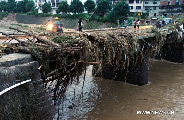 Tree branches hung on a bridge at Taining County, southeast China&apos;s Fujian Province, June 19, 2010. Taining recorded 225 mm rainstorm in six hours on Friday.[Xinhua]