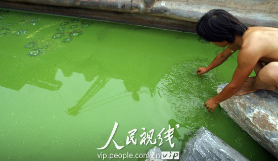 A large expanse of blue-green algae is seen floating on the surface of Shuangqiao River, which belongs to eastern half of Chaohu Lake in Hefei, capital of east China's Anhui Province, June 22, 2010. 