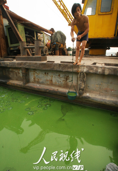 A large expanse of blue-green algae is seen floating on the surface of Shuangqiao River, which belongs to eastern half of Chaohu Lake in Hefei, capital of east China's Anhui Province, June 22, 2010. 