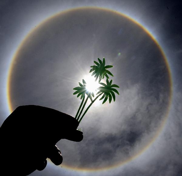 Halo rings the sun in Lhasa, capital of southwest China&apos;s Tibet Autonomous Region, June 27, 2010. [Xinhua] 