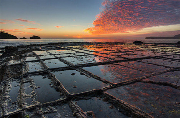 Tesselated Pavement, Tasmania，Australia [Photo Source: news.cn]