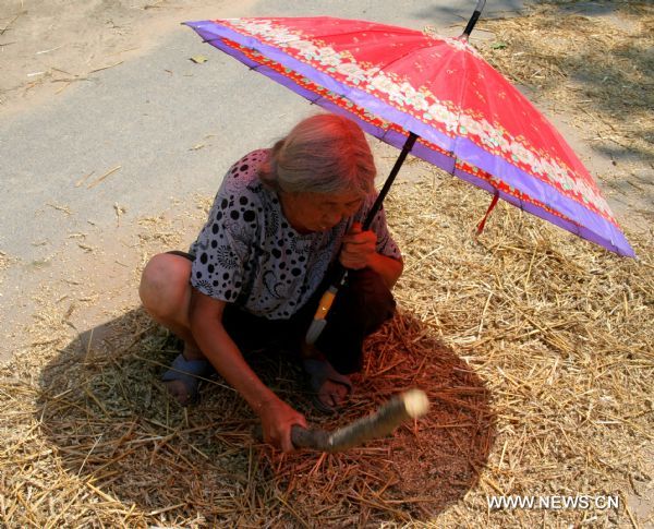 A farmer works under an umbrella in Heze, east China&apos;s Shandong Province, June 28, 2010. An orange alarm of high temperature was issued by the provincial meteorological department, forecasting the highest temperature would soar to over 37 degrees Celsius in the next two days. [Xinhua] 