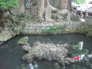 Stones in the shape of turtle in the Naritasan Temple. [Photo by Chen Huang]