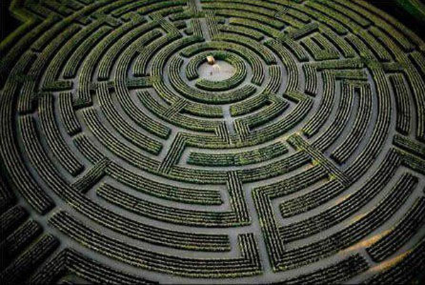 This is the largest plant maze in the world. [china.org.cn]