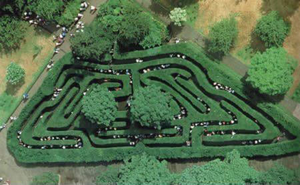 This is the oldest hegde maze in UK. [china.org.cn]