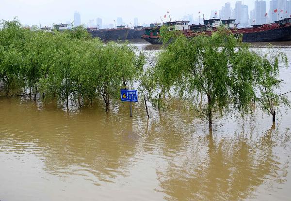 Flooded trees are seen beside Ganjiang River in Nanchang, capital of east China's Jiangxi Province, on June 29, 2010. The province entered post-flood period since 10 a.m. Monday as floods have receded in many area. [Xinhua]