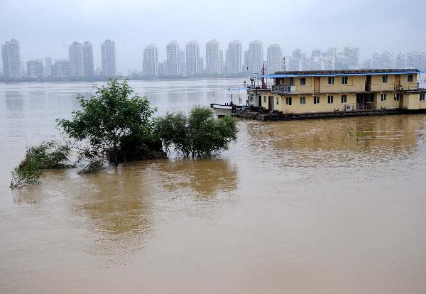 Flooded trees are seen beside Ganjiang River in Nanchang, capital of east China's Jiangxi Province, on June 29, 2010. The province entered post-flood period since 10 a.m. Monday as floods have receded in many area. [Xinhua]