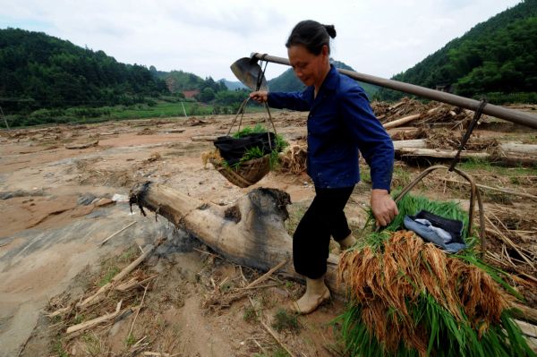 A woman carries seedling to replant at Gaobu Village of Wangtai Township in Nanping City, southeast China's Fujian Province, June 30, 2010. Eighty percent of farmland, five bridges and 5 houses here were destroyed by floods, landslides after storm rains on June 18 with the total economic loses up to 30 million RMB (about 4.5 million USD) and local transportation to the outside world had been fixed up on June 29 after days of repair. (Xinhua/Zhang Guojun) (ypf) 