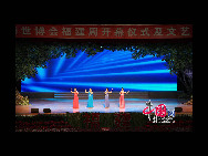 The performance at the Fujian Week at Baogang Stage in the Expo Park on June 30.[Photo by Yangjia] 
