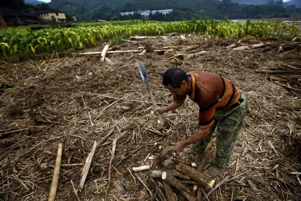 A farmer clears up his farmland at flood-hit Gaobu Village of Wangtai Township in Nanping City, southeast China's Fujian Province, June 30, 2010. 