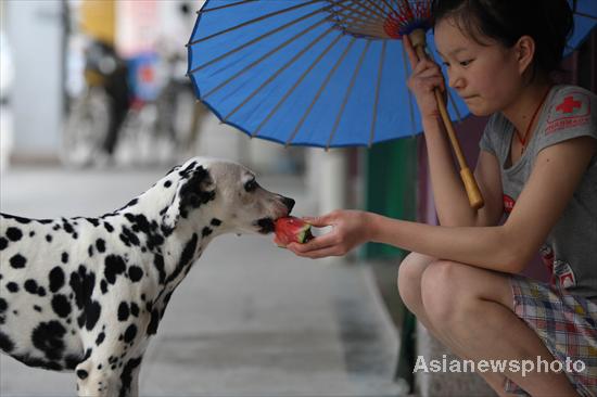 A woman feeds her dog watermelon to cool it down in the hot summer in Huaibei city in East China&apos;s Anhui province, July 4, 2010. [China Daily/Asianewsphoto]