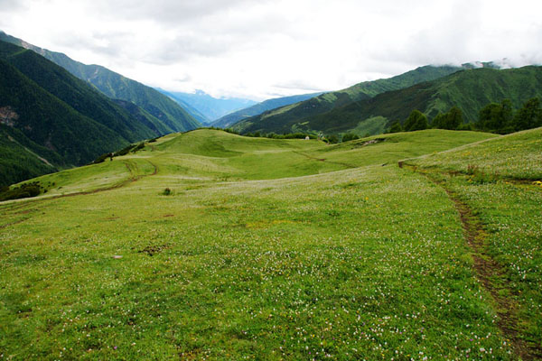 Blooming wildflowers dot the grasslands at the foot of the Four Girls Mountains.[photo:dili360.com] 