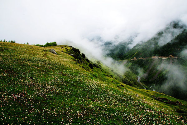 Blooming wildflowers dot the grasslands at the foot of the Four Girls Mountains.[photo:dili360.com]