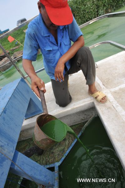 An environmental protection worker on a refloatation boat clears the blue-green algae on the Chaohu Lake in Hefei, east China&apos;s Anhui Province, July 3, 2010. Environmental protection department of Hefei and Chaohu City organized workers to clear the blue-green algae overrunning on the Chaohu Lake recently. [Xinhua]