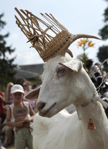 The crowd looks on as a goat called Grazyolyte is crowned the winner of a goat &apos;beauty contest&apos; in Ramygala, about 150 km (93 miles) from the capital Vilnius, July 5, 2010. Thirteen goats were entered into the competition which was held to commemorate the 640th anniversary of the founding of the village that was declared this year as the capital of Lithuanian culture. The goat is a symbol of the village during the medieval times. [Xinhua/Reuters]