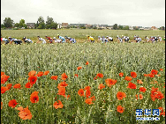The pack of riders cycle during the second stage of the Tour de France cycling race from Brussels to Spa, July 5,2010. Sylvain Chavanel of France won the stage and takes the race leader yellow jersey. 