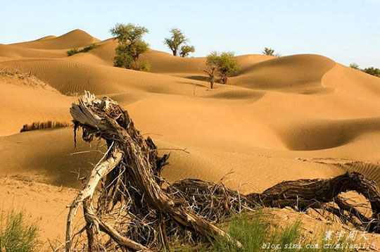 The Best of Xinjiang in July