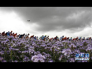 The pack rides past flowers in the 201 km and second stage of the 2010 Tour de France cycling race run between Brussels and Spa. 