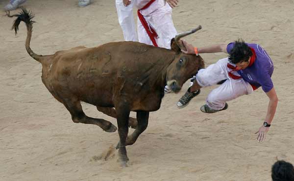 A reveller is tossed by a fighting cow during festivities in the bull ring after the first running of the bulls on the second day of the San Fermin festival in Pamplona July 7, 2010. There were no serious injuries in the run that lasted two minutes and twenty three seconds, according to the Navarra government press office. [Xinhua]