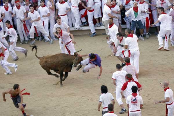 A reveller is tossed by a fighting cow during festivities in the bull ring after the first running of the bulls on the second day of the San Fermin festival in Pamplona July 7, 2010.[Xinhua]