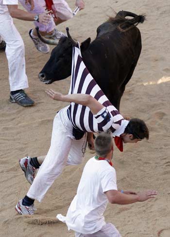 A reveller is tossed by a fighting cow during festivities in the bull ring after the first running of the bulls on the second day of the San Fermin festival in Pamplona July 7, 2010. There were no serious injuries in the run that lasted two minutes and twenty three seconds, according to the Navarra government press office.[Xinhua]