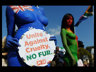 Protestors painted in the colours of flags of various countries hold signs and chant slogans during a demonstration against the fur industry in Johannesburg July 8, 2010. [163.com]