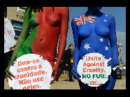 Protestors painted in the colours of flags of various countries hold signs and chant slogans during a demonstration against the fur industry in Johannesburg July 8, 2010. [163.com]