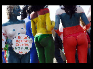 Protestors painted in the colours of flags of various countries hold signs and chant slogans during a demonstration against the fur industry in Johannesburg July 8, 2010. [163.com]