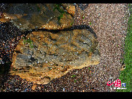 Known as a “Natural Geologic Museum,” the Golden Pebble Beach attracts tourists with splendid coves and rock formations on Dalian’s outskirts. [Photo by Zheng Yaofang]