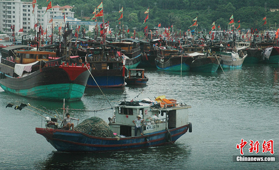 Fishing boats sheltered from typhoon in Haikou port, Hainan Province, on July 15, 2010. China issued an orange alert on Thursday for wave surges, the second highest level warning, forecasting that Typhoon Conson may reach land Friday on the southeast coast of Hainan Province.